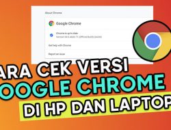 Cara Melihat Versi Google Crome di HP Android dan Laptop